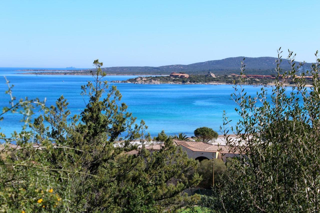 Вилла Casa Vacanze Il Cisto - Golfo Di Marinella Порто-Ротондо Экстерьер фото